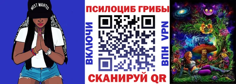 Псилоцибиновые грибы Psilocybine cubensis Кадников