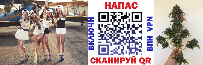 купить закладку  Кадников  кракен как зайти  Бошки марихуана Amnesia 